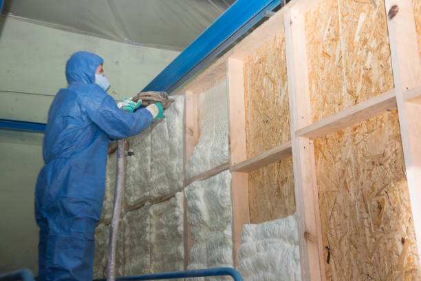 Best Insulation for Commercial Buildings  in Santa Claus, IN